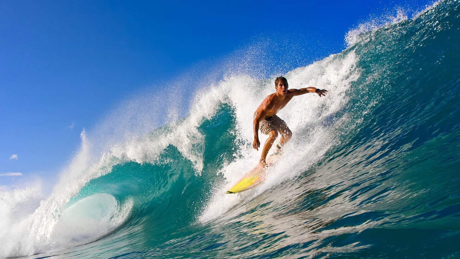 【防守兵器】马克·塞尔比:被对手“困住”的秘密,马克塞尔比多少个排名赛冠军