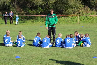 九游app下载中心-德甲球队构建战术模拟平台提升临场应变能力，德甲模式