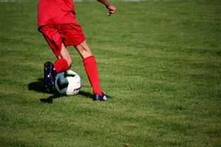 九游app官网下载-俱乐部青训体系与职业联赛脱节，俱乐部青训有工资吗